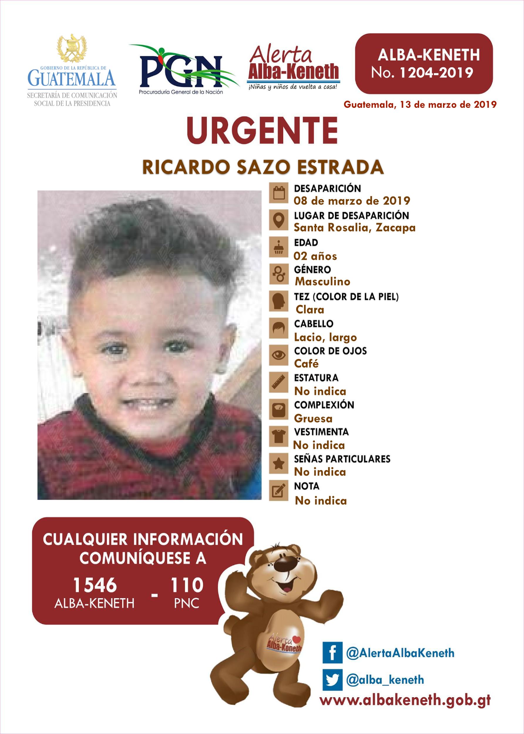 Ricardo Sazo Estrada