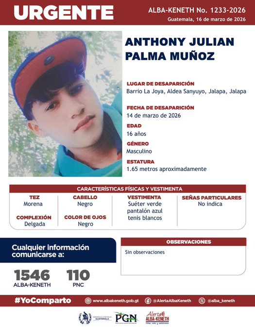 Anthony Julián Palma Muñoz