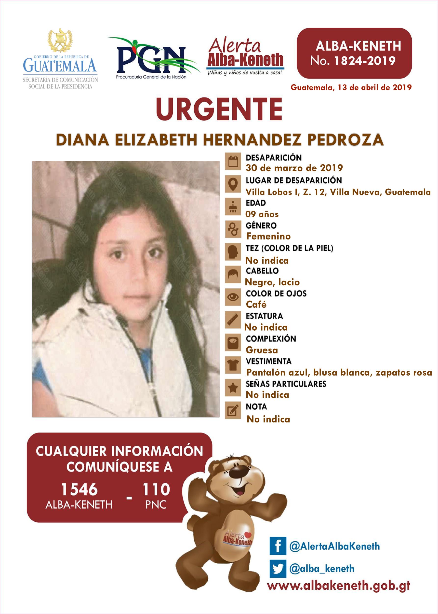 Diana Elizabeth Hernandez Pedroza
