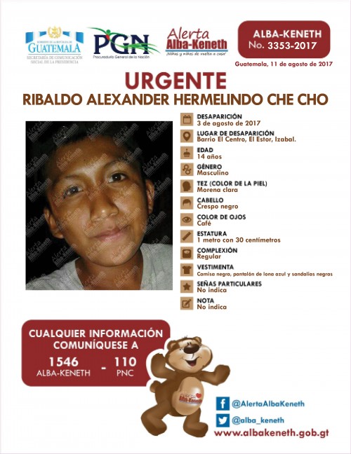 Ribaldo Alexander Hermelindo Che Cho