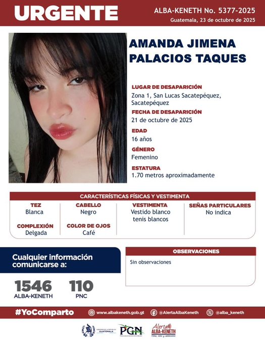 Amanda Jimena Palacios Taques