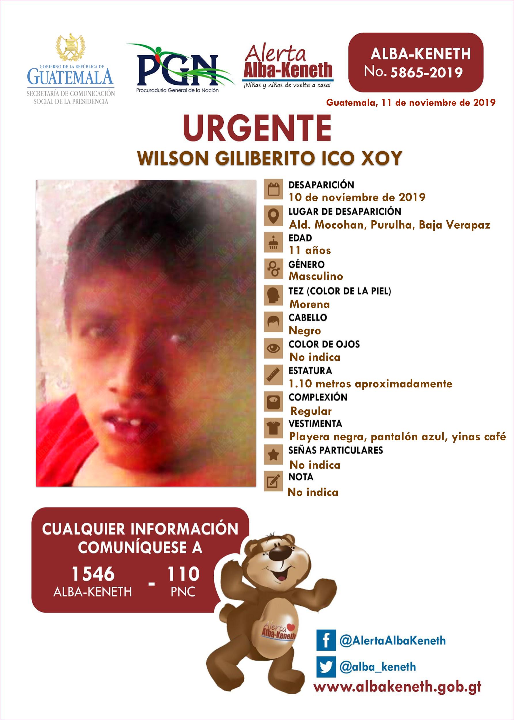 Wilson Giliberito Ico Xoy